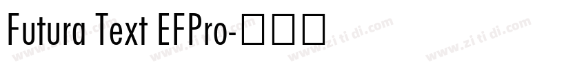Futura Text EFPro字体转换
